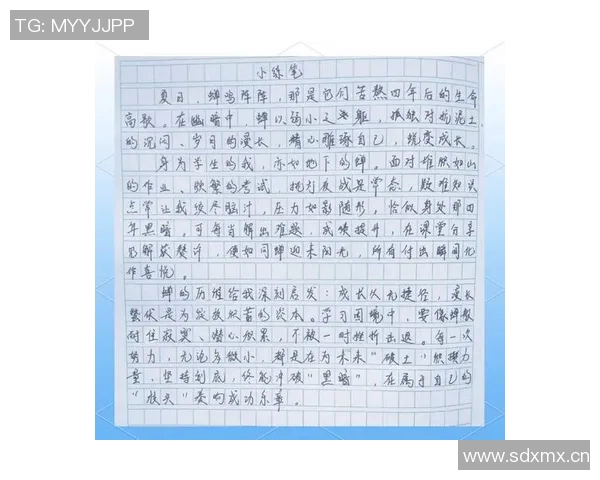 WE职业联赛成长之路：从新秀到强队的蜕变与奋斗历程