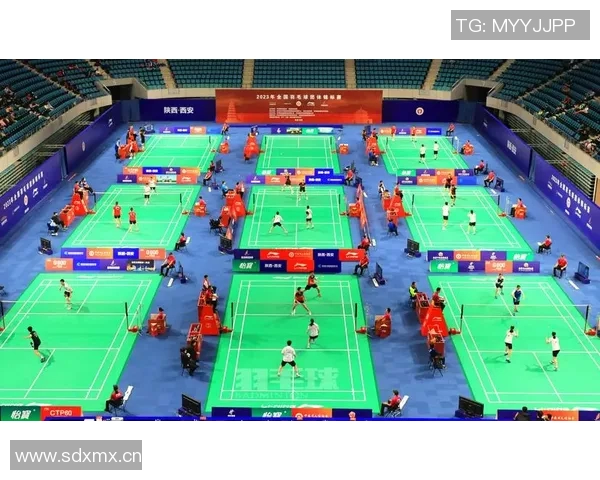 西安羽毛球队荣登全国羽毛球比赛经验排行榜第六名的辉煌成就 西安羽毛球队荣登全国羽毛球比赛经验排行榜第六名的辉煌成就